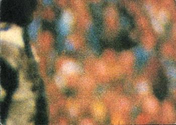 1980 Scanlens VFL #8 Jeff Sarau Back